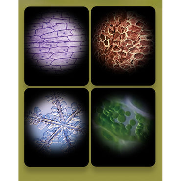 Handheld Microscope Kit Lab LED Light 60X-120X Home School Biological Science Stem Outdoor Toy Kids Gift