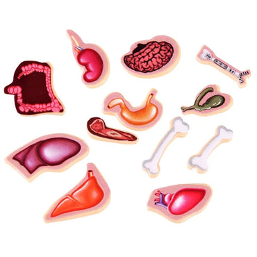 Interactive Doctor Pretend Play Table Game for Early Learning