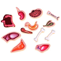 Interactive Doctor Pretend Play Table Game for Early Learning