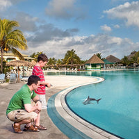 (Net)Remote Control Shark Model Toy