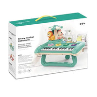 Toddler Musical Instruments - Multifunction Piano Keyboard with Cute Animals Design