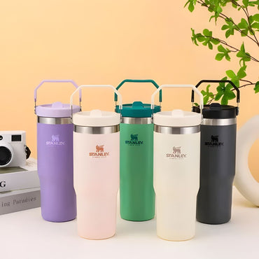 (Net)Stanley IceFlow Straw Tumbler