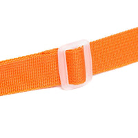 (NET) Dinosaur Kids Lunch Bag Insulated Bento