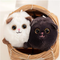 (Net) Cat Plush Toy Soft Cuddle Kitten