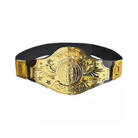 Championship Belts For MMA Boxing & Judo Karate