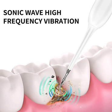 (net) Electric Teeth Cleaner 2 in 1 Electric Teeth with Toothbrush Head