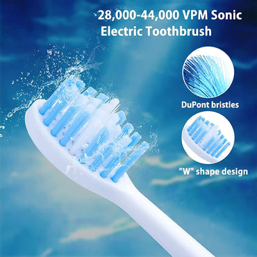 (net) Electric Teeth Cleaner 2 in 1 Electric Teeth with Toothbrush Head