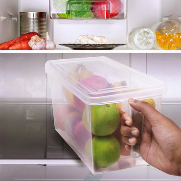Small Refrigerator Transparent Plastic Storage