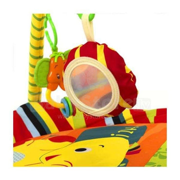 Baby Play Gym Mat