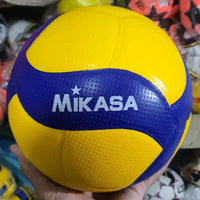 Volleyball Test Ball
