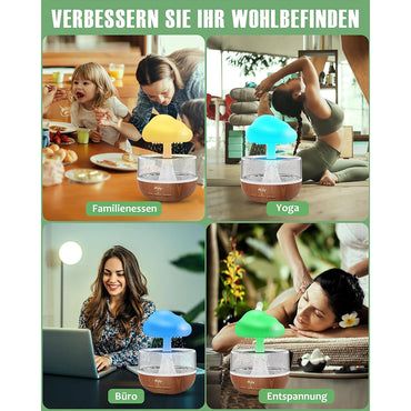 (NET) Rain Cloud Humidifier