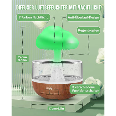 (NET) Rain Cloud Humidifier