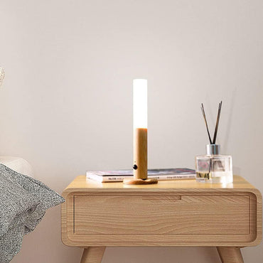 (Net) Rechargeable Battery Night Light Motion Sensor