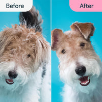 Pet Grooming Brush for Dogs & Cats