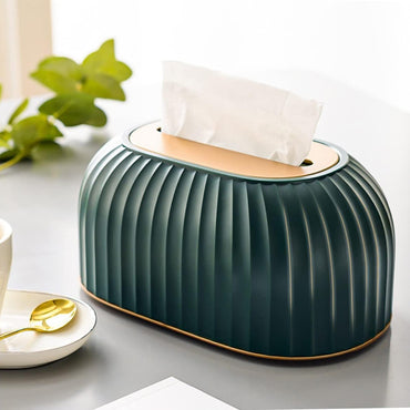 (NET) Tissue Box Storage