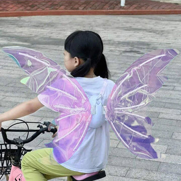 (Net) Dream Light Wings