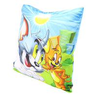 Characters Baby Pillow.