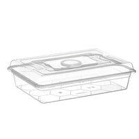 Follow me Transparent Multi-Purpose Tub with Lid 6.5L - Karout Online -Karout Online Shopping In lebanon - Karout Express Delivery