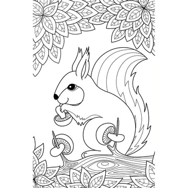 Pegasus Mini Adult Colouring Pad - Animals