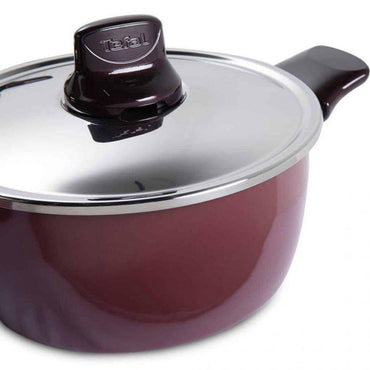 Tefal Pleasure Stewpan 20 cm + Stainless Steel Lid / D5024462 - Karout Online -Karout Online Shopping In lebanon - Karout Express Delivery