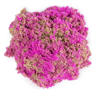 Kinetic Sand Sea Shell Asst - Karout Online -Karout Online Shopping In lebanon - Karout Express Delivery
