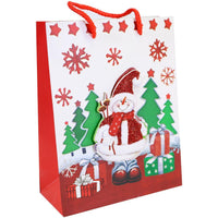 Christmas Gift Bag 23.5 x 18 x 8 Cm.