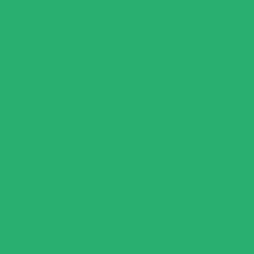 Opp 48 Sheets / 96 Pages - Seyes Dark Green Stationery