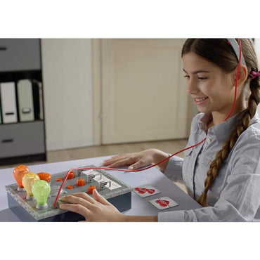 IMC Truth Detector Game - English - Karout Online -Karout Online Shopping In lebanon - Karout Express Delivery