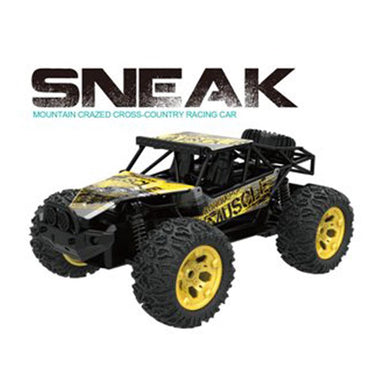 R/C Mountain Crazed Cross-Country Racing Car.