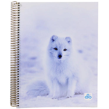 Opp Picture Spiral Notebook  21 x 27.5 cm 192 Sheets 384 Pages - Seyes - Karout Online -Karout Online Shopping In lebanon - Karout Express Delivery