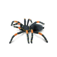 Safari Orange kneed Tarantula - Karout Online -Karout Online Shopping In lebanon - Karout Express Delivery