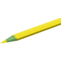 Bic Kids Evolution Circus Coloring Pencils / 12 pieces - Karout Online -Karout Online Shopping In lebanon - Karout Express Delivery