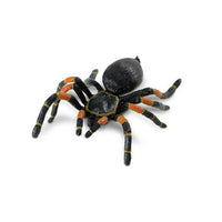 Safari Orange kneed Tarantula - Karout Online -Karout Online Shopping In lebanon - Karout Express Delivery