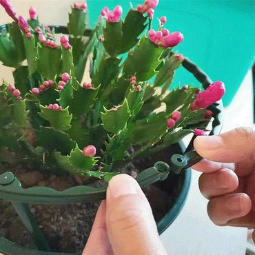 Fixed Pole Garden Plants Circular Plastic Bracket / 22FK075 - Karout Online -Karout Online Shopping In lebanon - Karout Express Delivery