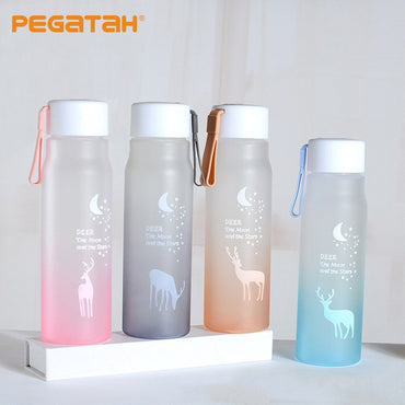 Water Bottle Gradient Plastic Sports Cup Transparent Girl Leakproof Drop-proof Drinking Portable Outdoor Water Bottles 500ml / 6952446454517