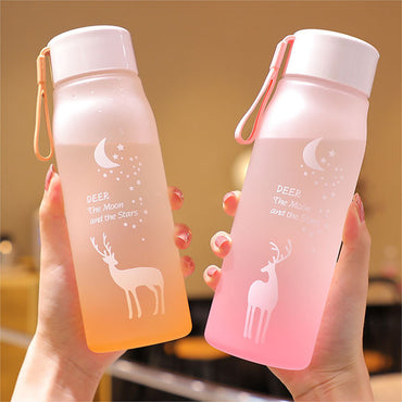 Water Bottle Gradient Plastic Sports Cup Transparent Girl Leakproof Drop-proof Drinking Portable Outdoor Water Bottles 500ml / 6952446454517