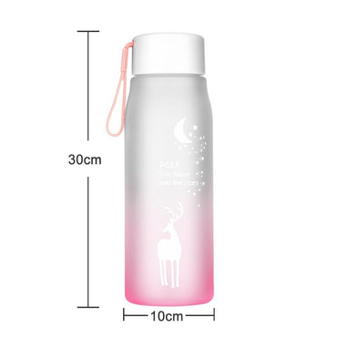 Water Bottle Gradient Plastic Sports Cup Transparent Girl Leakproof Drop-proof Drinking Portable Outdoor Water Bottles 500ml / 6952446454517