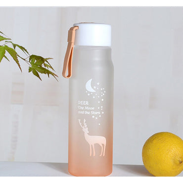 Water Bottle Gradient Plastic Sports Cup Transparent Girl Leakproof Drop-proof Drinking Portable Outdoor Water Bottles 500ml / 6952446454517