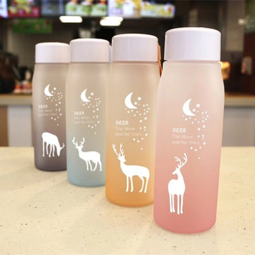 Water Bottle Gradient Plastic Sports Cup Transparent Girl Leakproof Drop-proof Drinking Portable Outdoor Water Bottles 500ml / 6952446454517