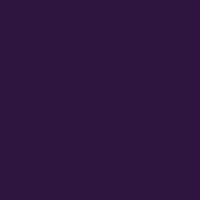 Yoga Matt 5Mm X 61 173 Dark Purple Summer