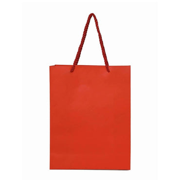 Medium Gift Bag