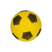 (Net) Outdoor Football