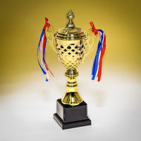 Gold Award Trophy Cup