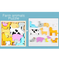 Versatile Wooden Toddler Jigsaw Puzzle Blocks