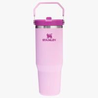 (Net)Stanley IceFlow Straw Tumbler