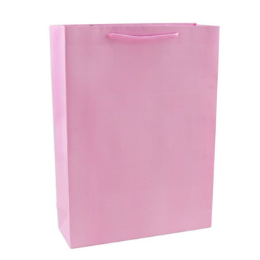 Large Gift Bag
