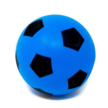 (Net) Outdoor Football