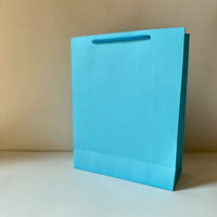 Medium Gift Bag