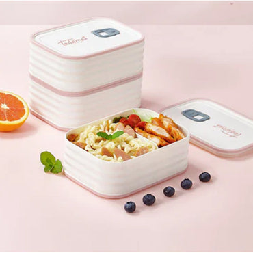 Mini Lunch Box - 950ml (304 Stainless Steel/Plastic)