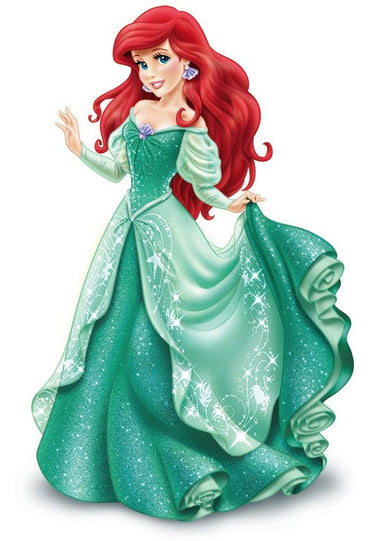 ( Net ) Ariel Costume For Kids